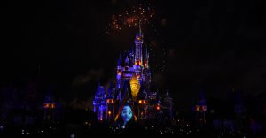 Viaje de 15 Disney
